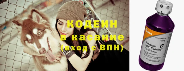 стаф Богородицк