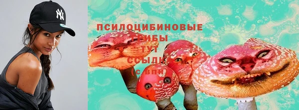 стаф Богородицк