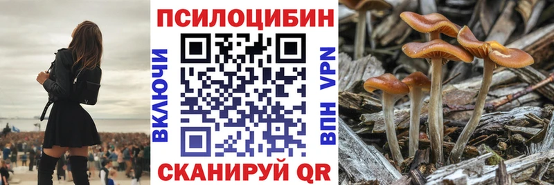 Псилоцибиновые грибы Magic Shrooms  Купить где  Сенгилей 